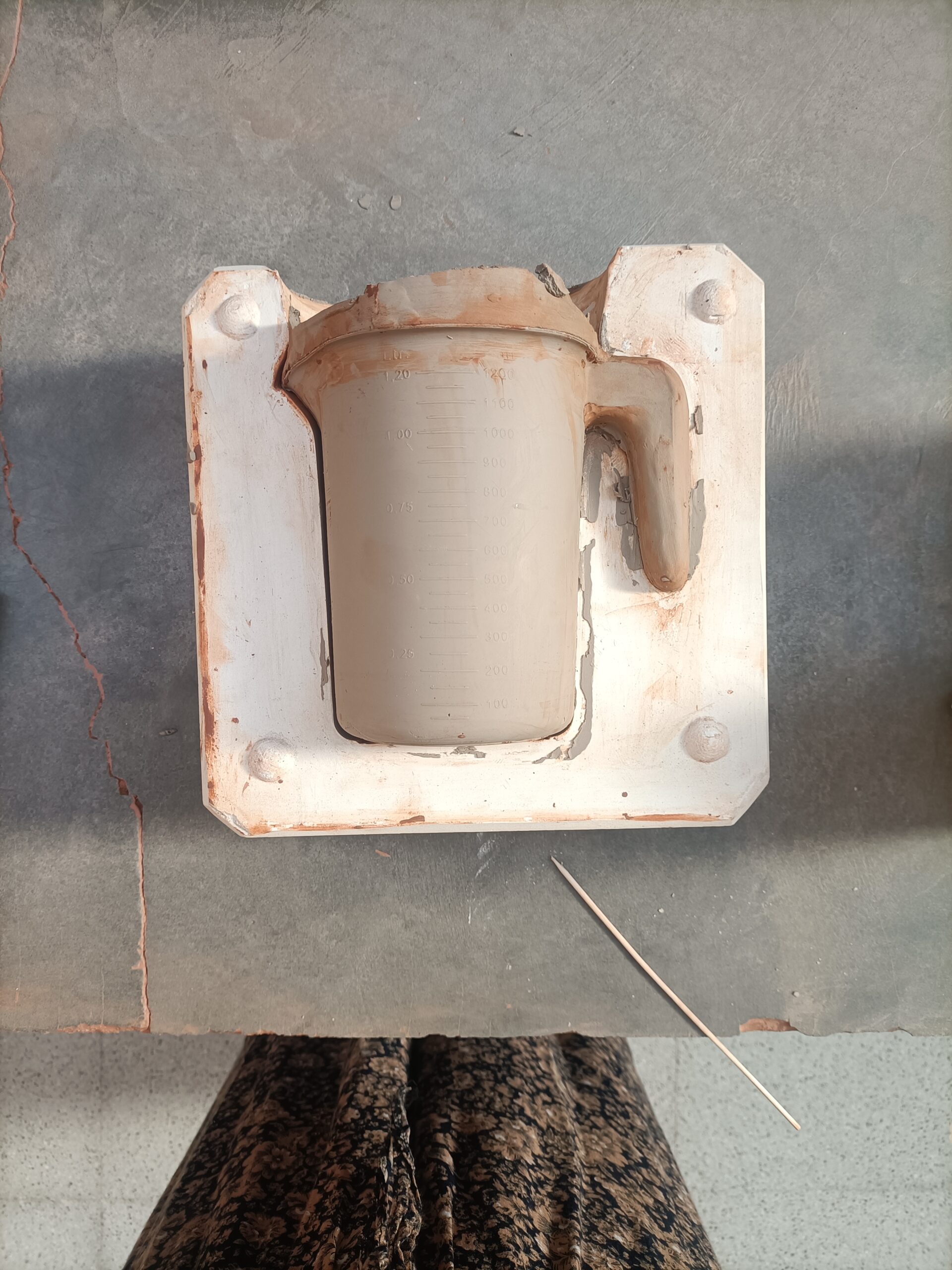 Escola La Llotja 2024